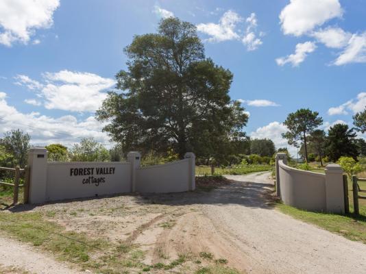 Forest Valley Cottages - 220375