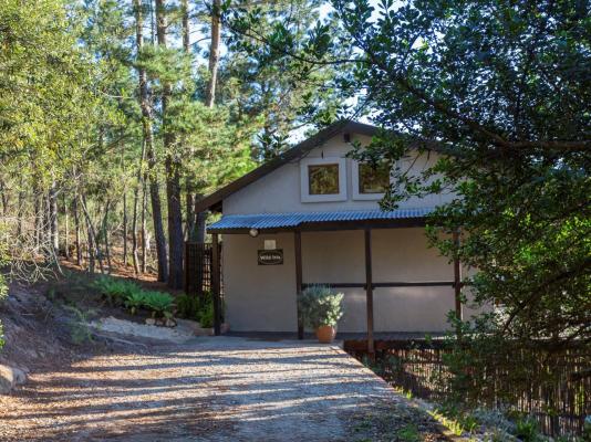 Forest Valley Cottages - 220377
