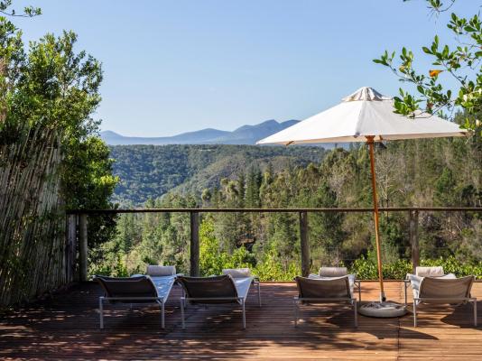 Forest Valley Cottages - 220378