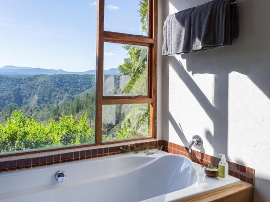 Forest Valley Cottages - 220401