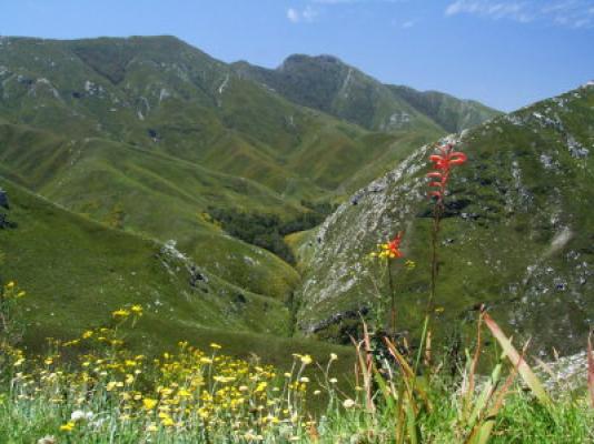 Garden Route and Klein Karoo Mountain Passes