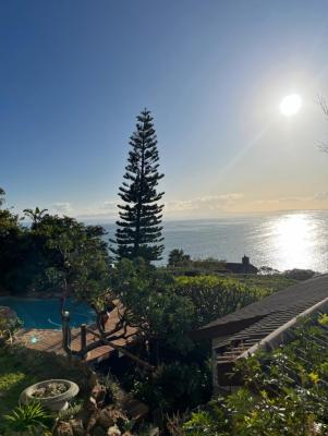 Artists Cottages Gordon's Bay - 220805