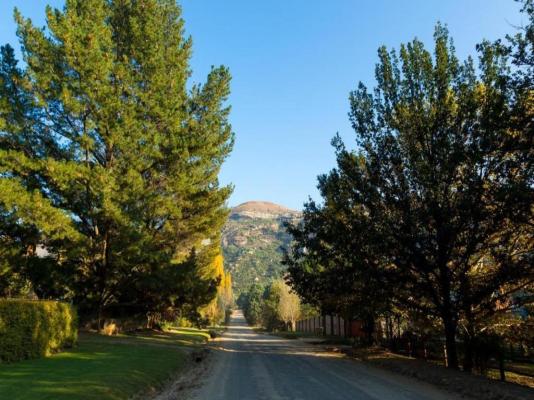 Cottage Pie Clarens - 222197