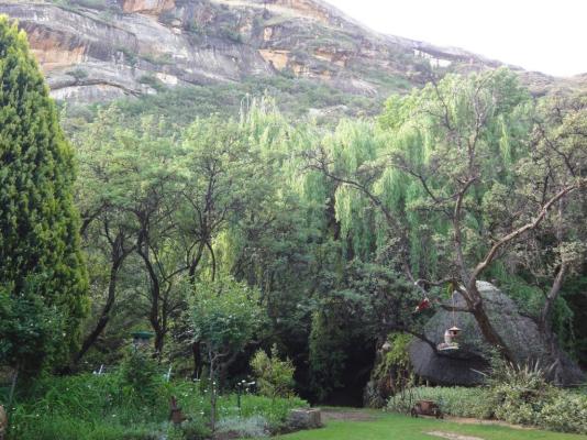 Cottage Pie Clarens - 222202