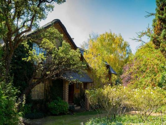 Cottage Pie Clarens - 222204