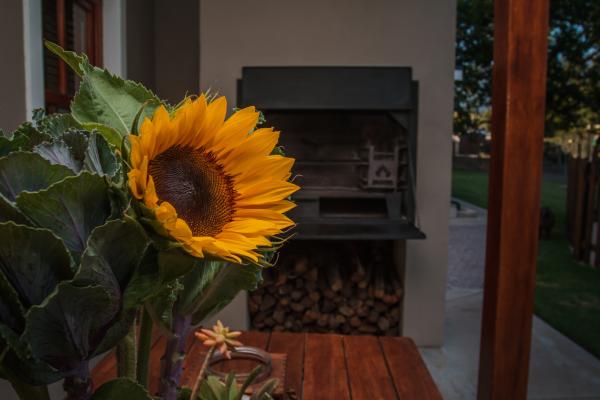Dolittle Cottages - 222618