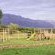 Duikersdrift Winelands Country Escape - 222734