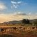 Thaba Manzi Ranch - 222880