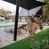 Mabula Game Lodge - 225476