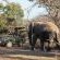 Mabula Game Lodge - 225530