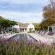 Lavender Farm Guesthouse - 225769