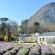 Lavender Farm Guesthouse - 225770