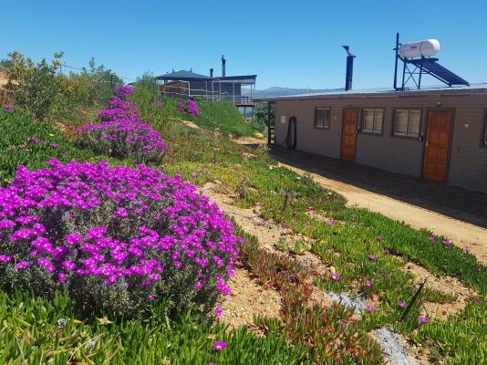 Big Sky Cottages - 226706