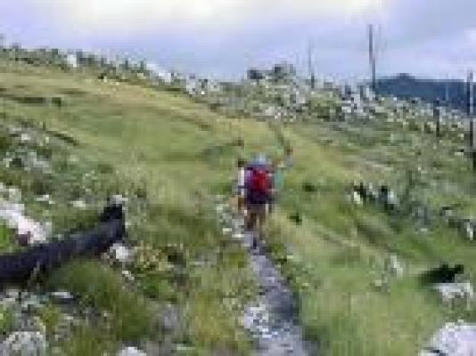 Genadendal Hiking Trail