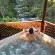The Fernery Lodge & Chalets - 228066