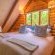 The Fernery Lodge & Chalets - 228072