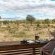 Jaci's Safari and Tree Lodges - 228101