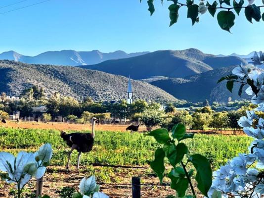 Berluda Farmhouse & Cottages - 228198