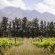 Duikersdrift Winelands Country Escape - 228786