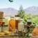 Duikersdrift Winelands Country Escape - 228793