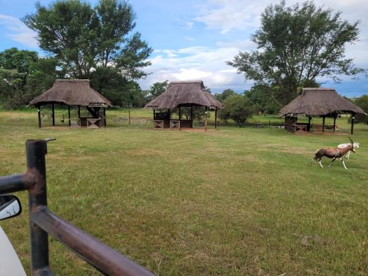 Lush Horizons Game Lodge