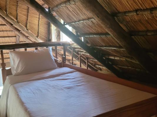 Lush Horizons Game Lodge 