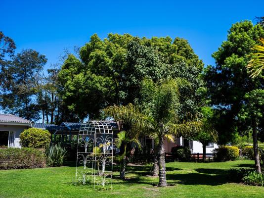 Pine Lodge Resort - George - 229801