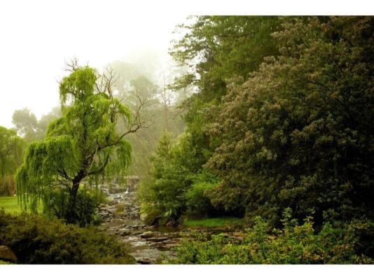 Hawklee Country House - 230472