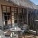 Guinea Fowl Studio Cottage