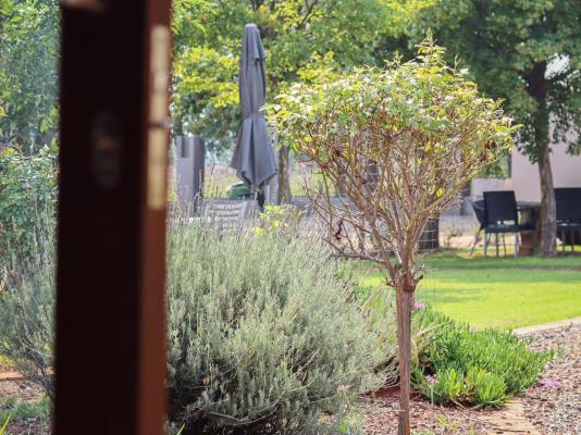 Three Thymes Inn - 230607