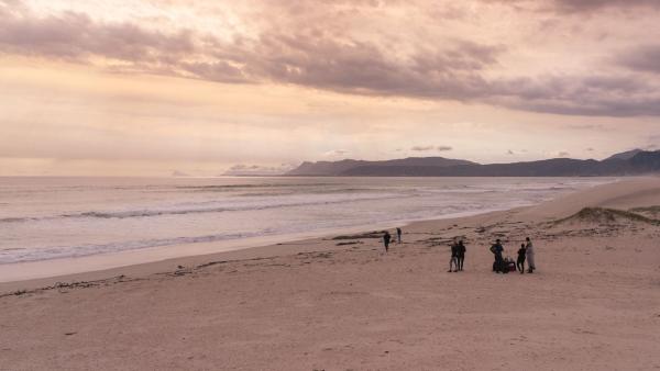 Beach Excursion