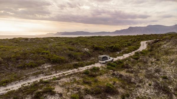Fynbos Safari