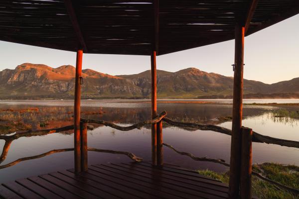 View from pool