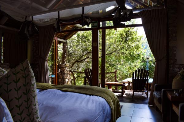 Forest View Suite