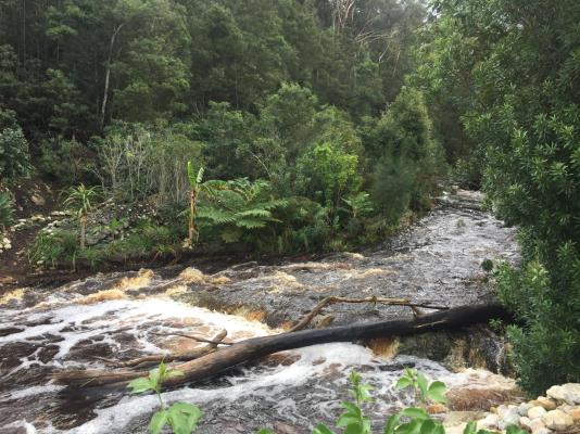 A Riverbed Guesthouse - 230815