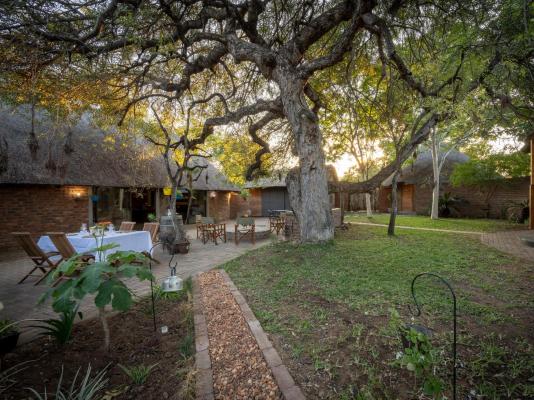 Ngoma Bush Lodge - 230830