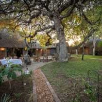 Ngoma Bush Lodge - 230830