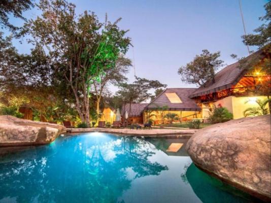 Pezulu Tree House Lodge - 230910