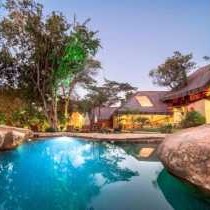 Pezulu Tree House Lodge - 230910