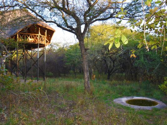 Pezulu Tree House Lodge - 230916