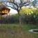 Pezulu Tree House Lodge - 230916