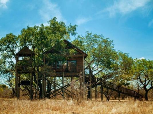 Pezulu Tree House Lodge - 230917