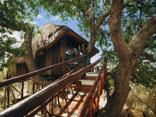 Pezulu Tree House Lodge - 230918