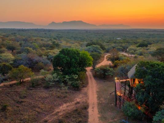 Pezulu Tree House Lodge - 230919