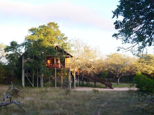 Pezulu Tree House Lodge - 230922