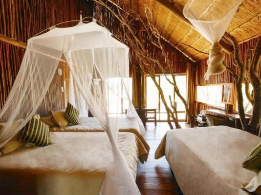 Pezulu Tree House Lodge - 230924