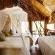 Pezulu Tree House Lodge - 230924