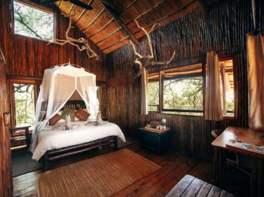 Pezulu Tree House Lodge - 230925