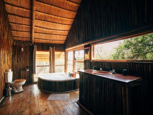 Pezulu Tree House Lodge - 230926