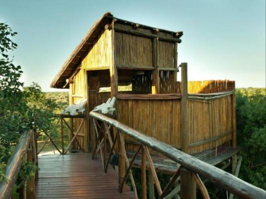 Pezulu Tree House Lodge - 230928